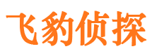 合阳市私家侦探